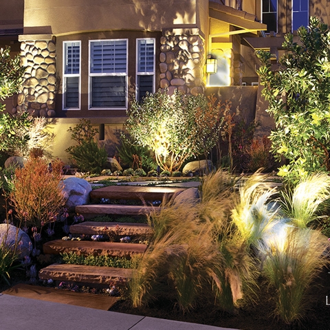 Sustainable Landscaping Photo